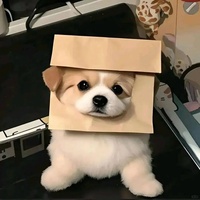 遐想补给站